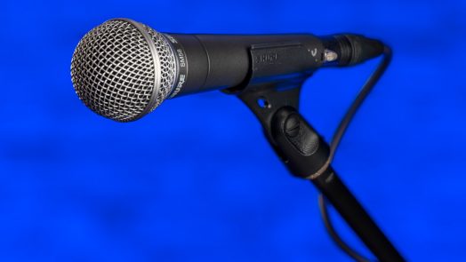 SM58 - one of the best live vocal mics