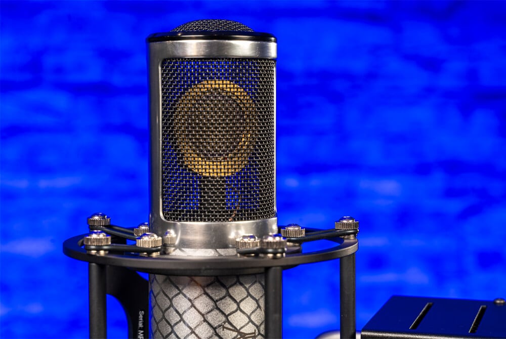 Manley Reference Silver mic's grill closeup