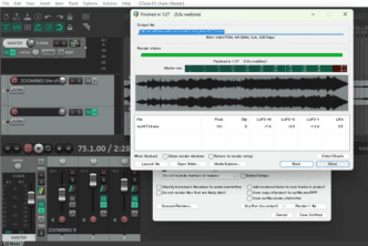 Reaper rendered track