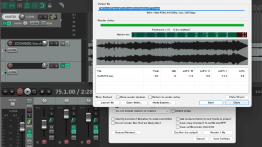 Reaper rendered track